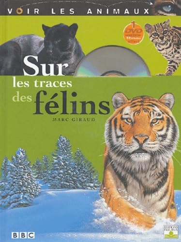 Sur les traces des félins