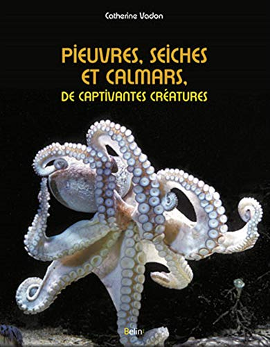 Pieuvres, seiches et calmars