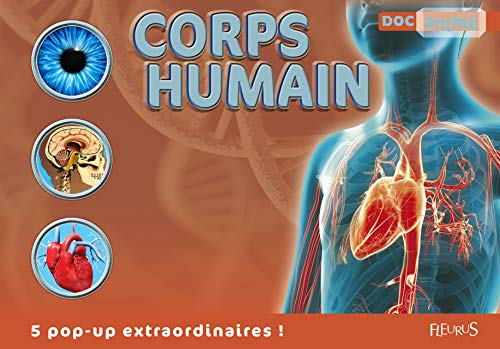 corps humain