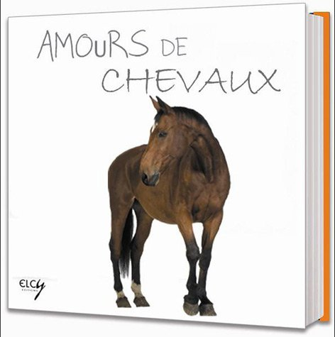 Amours de chevaux