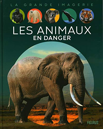 Les animaux en danger